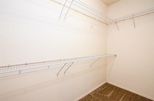 Building Photo - 42607 W Constellation Dr