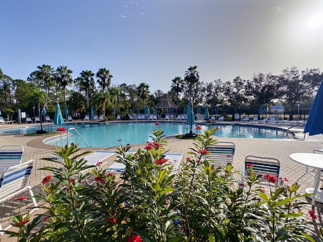 Building Photo - New Rental Available in Stoneybrook at Venice!