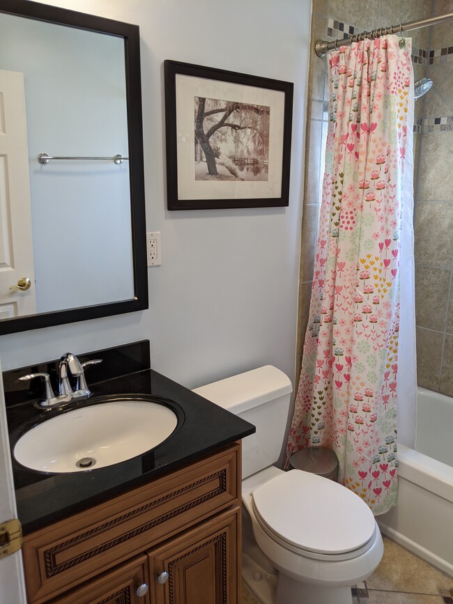 Guest bathroom - 2418 Villanova Rd