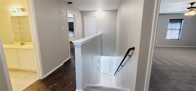 Building Photo - 861 Cats Eye Dr