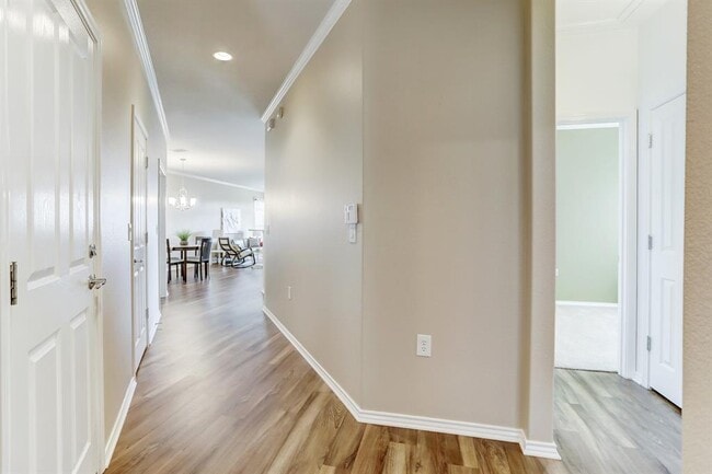 Building Photo - 204 Monument Hill Trail