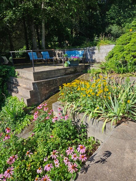 Summer abundance - 66 Long Pond Rd S