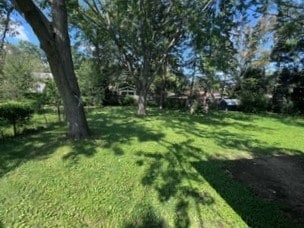 Lawn - 2213 Philo Rd