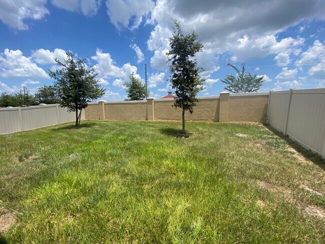 Building Photo - 671 Tortugas St