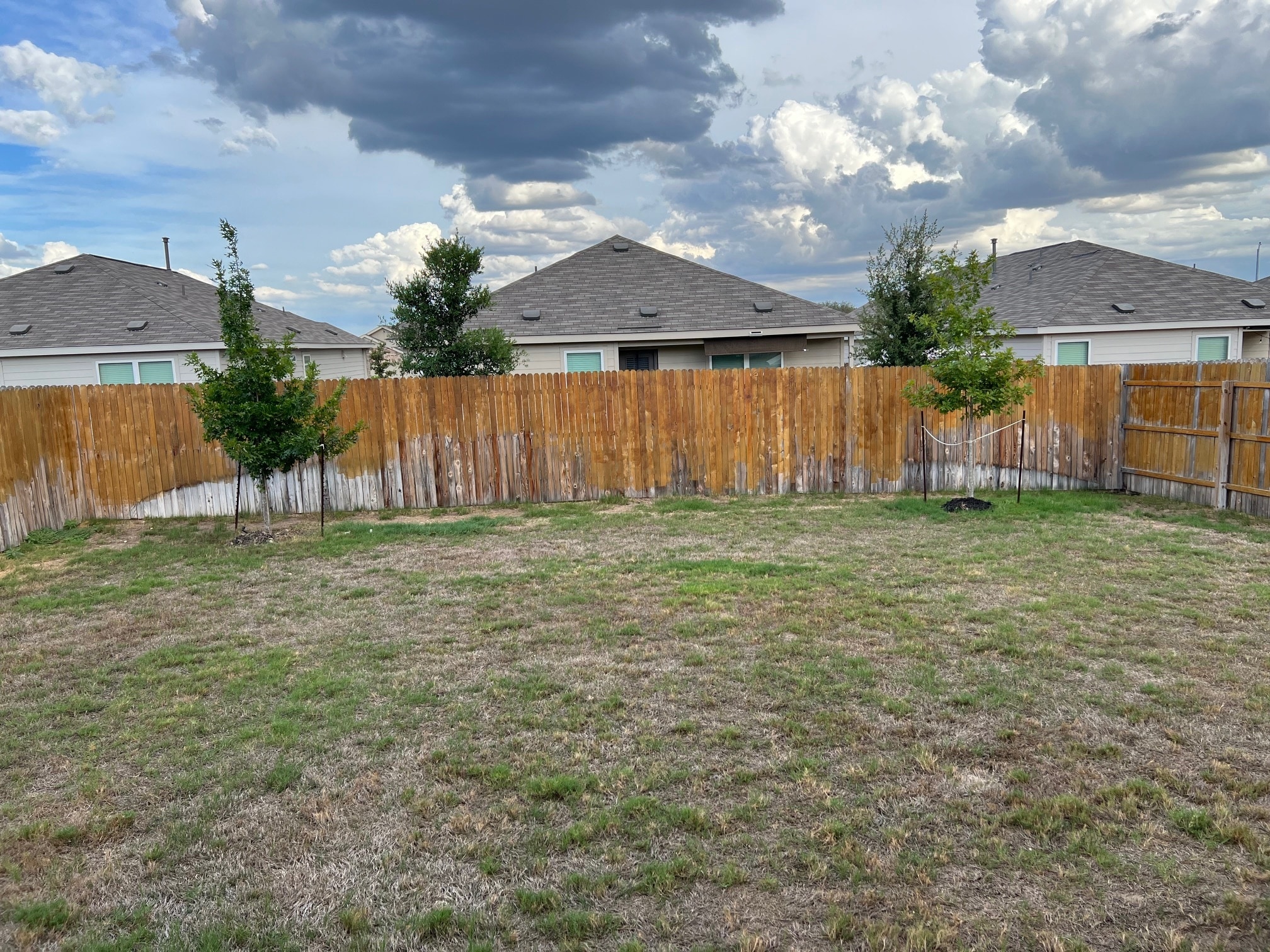 backyard - 9726 Mill Dam