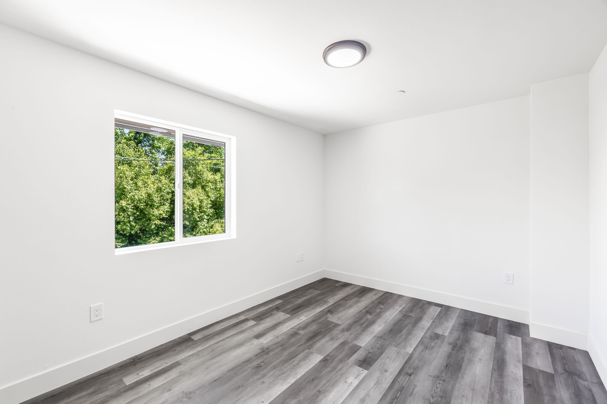 Building Photo - 2409 Cava Ct