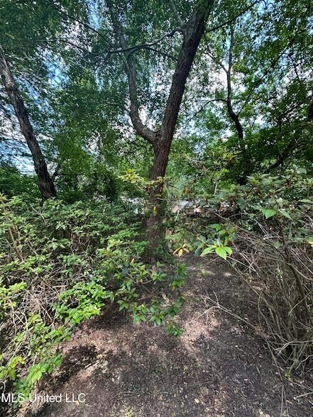 Building Photo - 3564 Cowan Pl