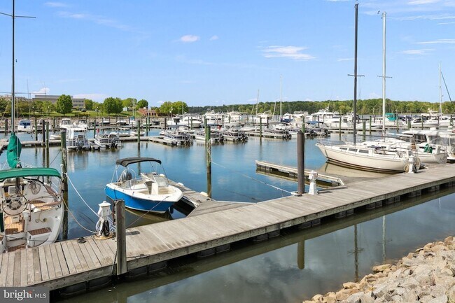 Building Photo - 440 Belmont Bay Dr