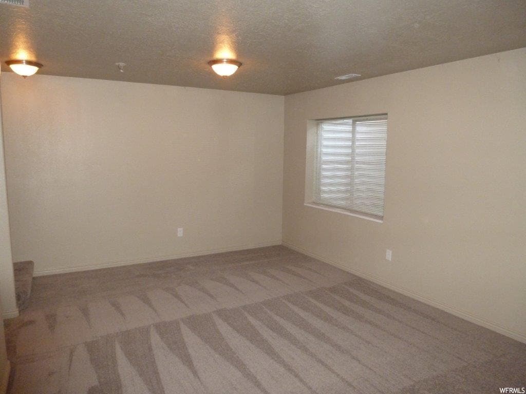 Basement family room window - 1000 E Bluffview Dr