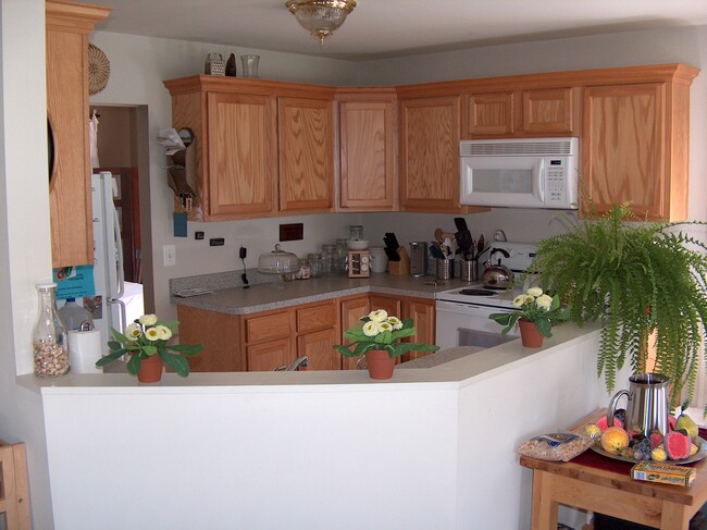 Building Photo - 486 Riverview Dr