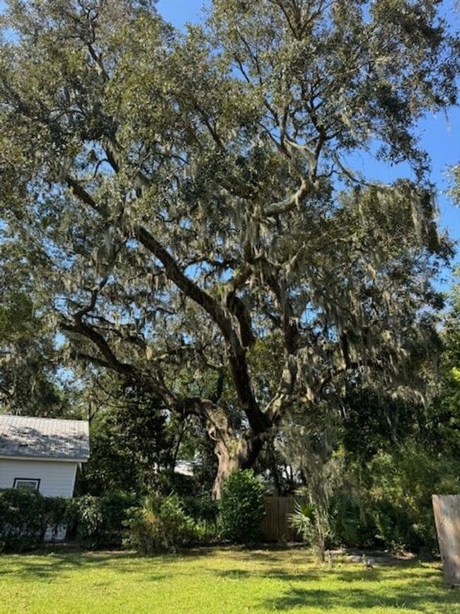 Building Photo - Thunderbolt Charm Meets Modern Comfort