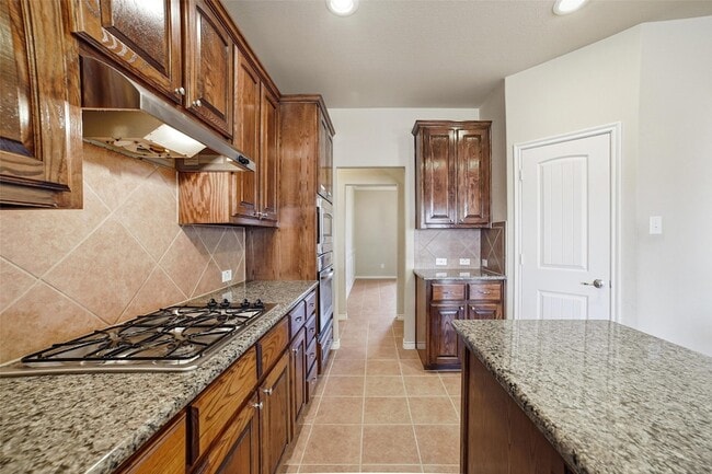 Building Photo - 1205 Dripping Springs Ln