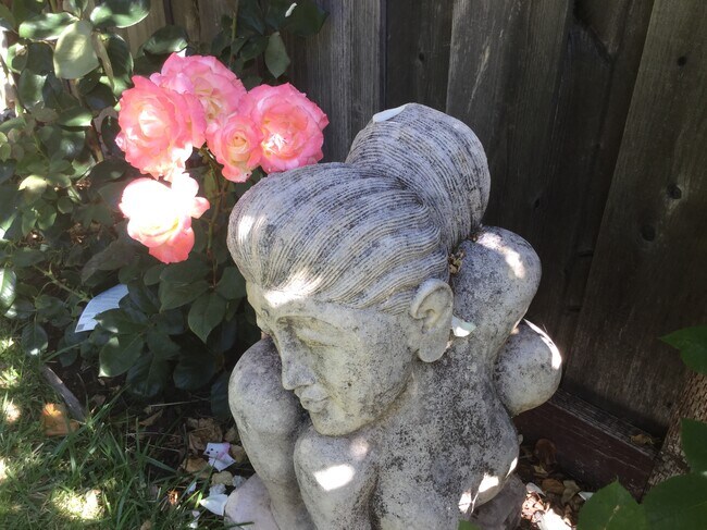 Garden decor - 11 Marin St