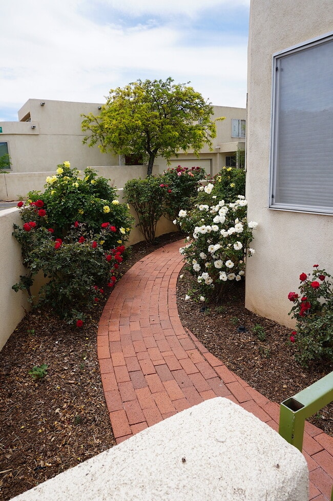 Building Photo - Move In Ready Near UNM and Nob Hill!! This...