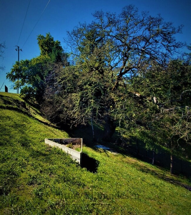 Building Photo - 4800 Muniz Ranch Rd