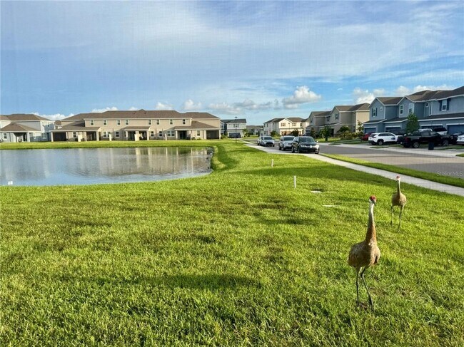 Building Photo - 11524 Woodleaf Dr