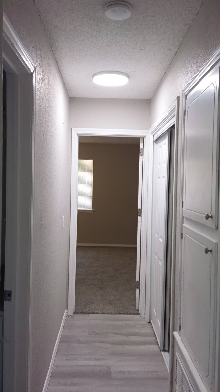 Building Photo - 4408 S Cypress Ave