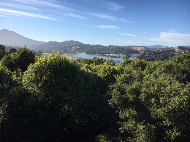 Master Bedroom View 1 - 316 Donahue St