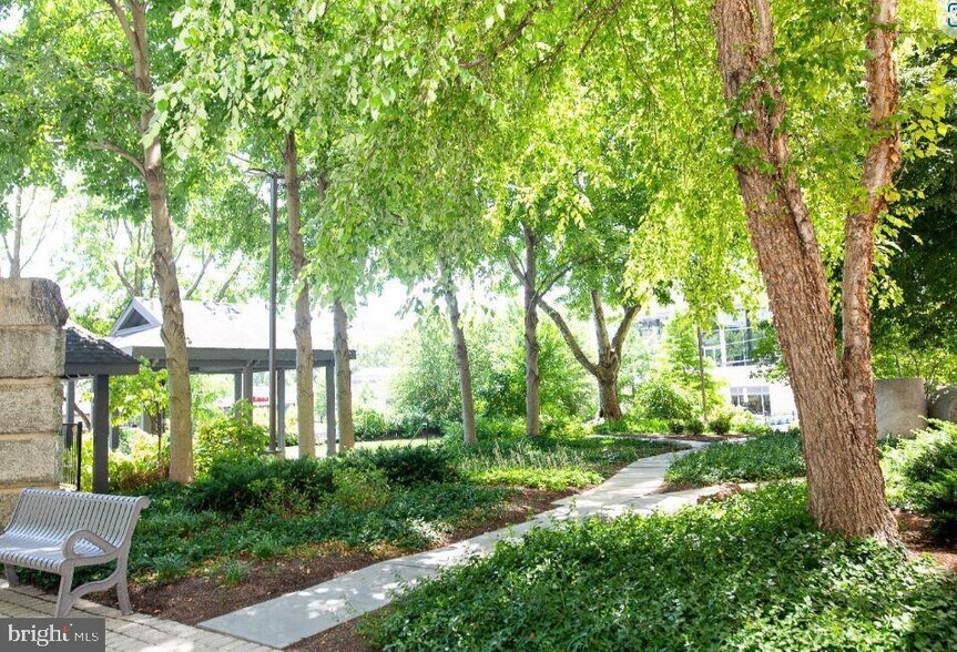 Lush garden - 2001 Hamilton St