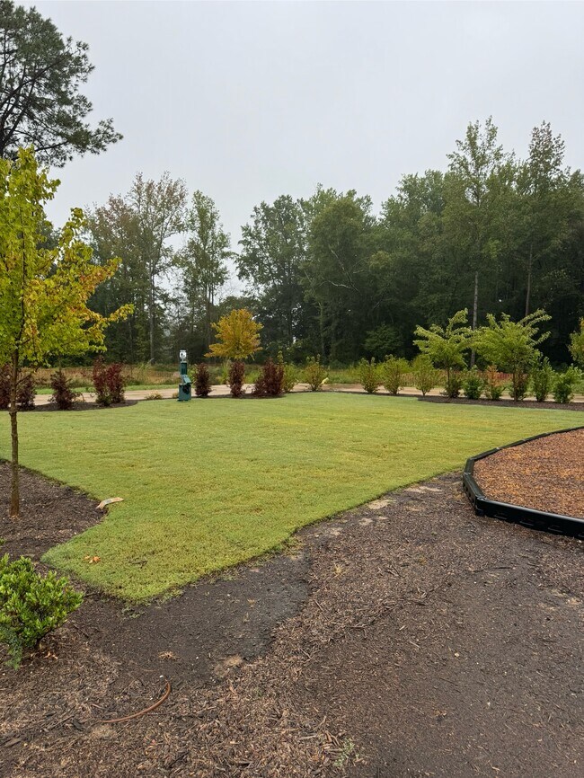 Building Photo - 709 Bellmouth Rd