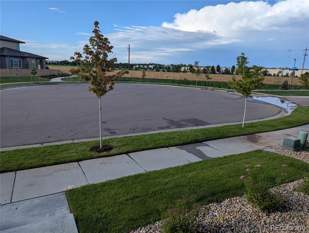 Building Photo - 6175 McKinnon Ct