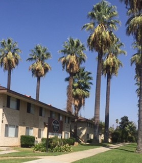 Building Photo - Brookside Palms