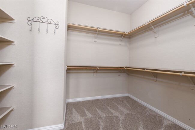 Building Photo - 2872 Glass Vine Ct
