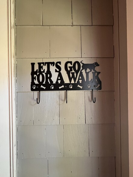 back door - 22 Douglas Rd