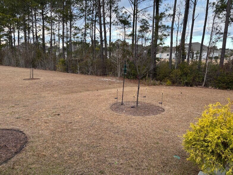 Building Photo - 106A Arnette Dr