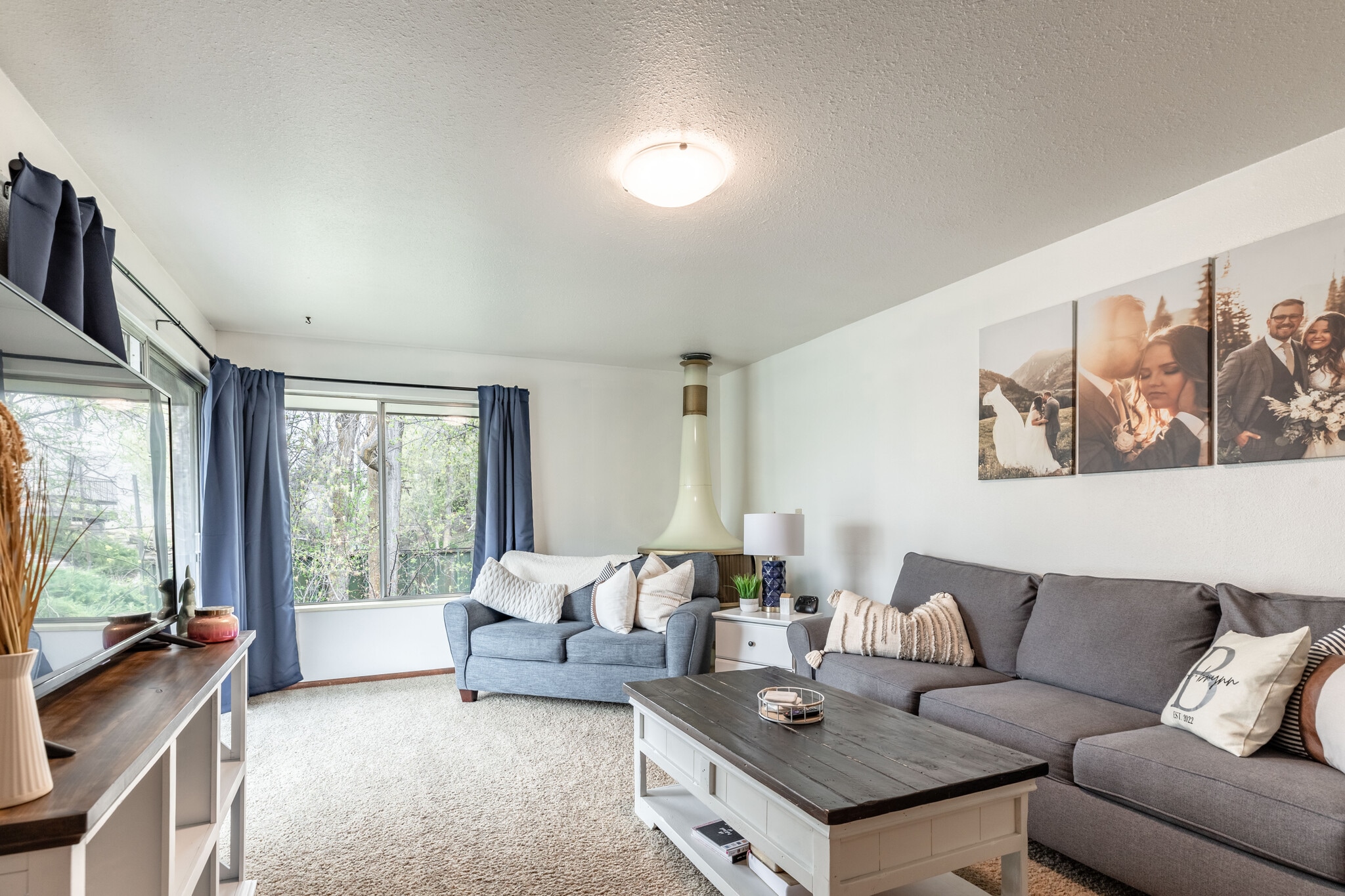 Living room - 815 Orchard Dr