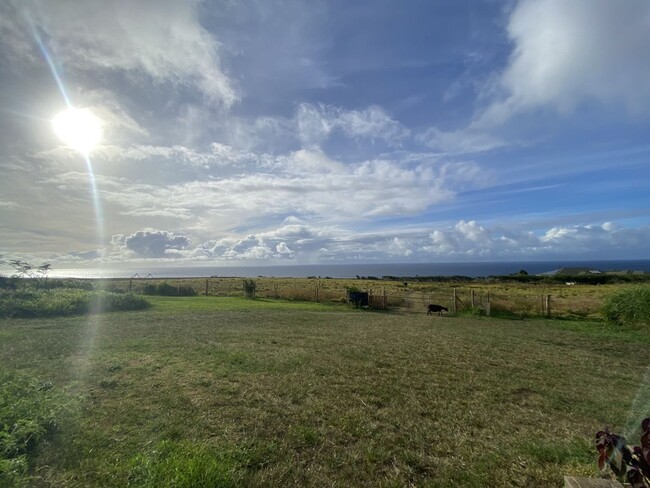 Building Photo - Expansive Ocean View & Quiet Country Livin...