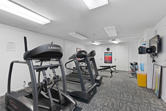 Building Photo - 4505 S Ocean Blvd