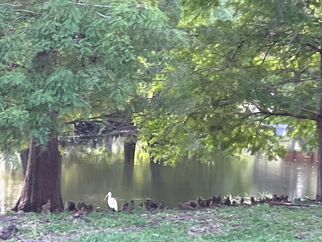 Building Photo - 14467 Mirabelle Vista Cir