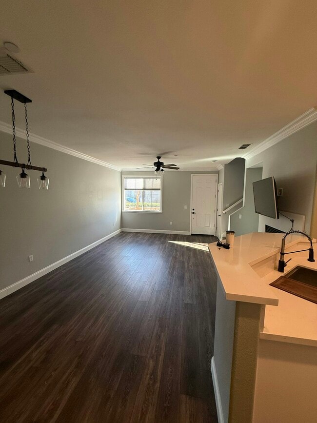 Building Photo - 203 Dante Cir