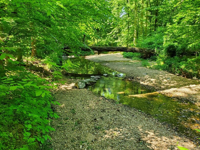 Building Photo - 3152 Bayswater Ct