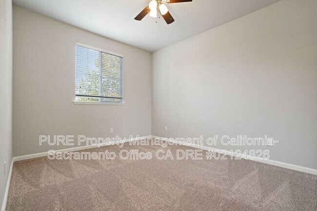 Building Photo - 4909 Concordia Dr