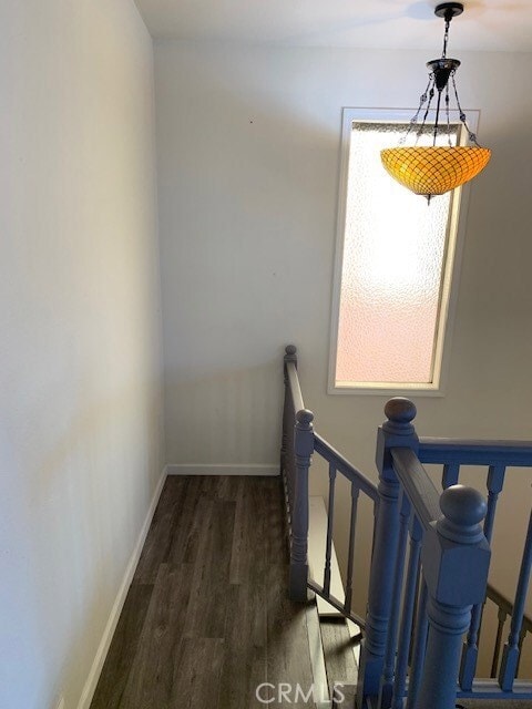Building Photo - 217 Crest Dr