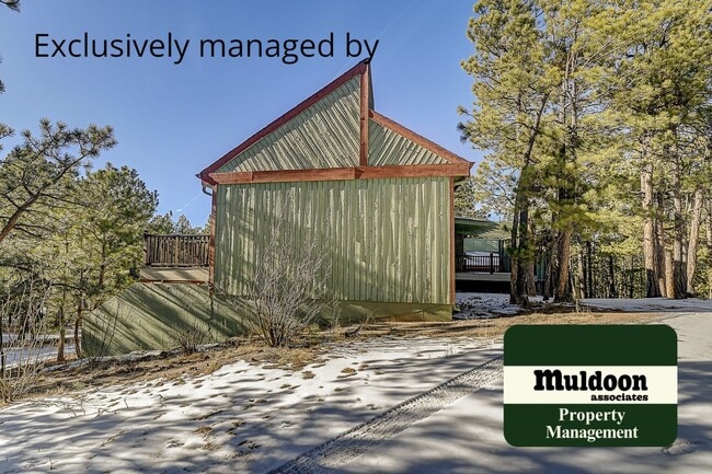 Building Photo - Coming soon, Stunning Black Forest Home!