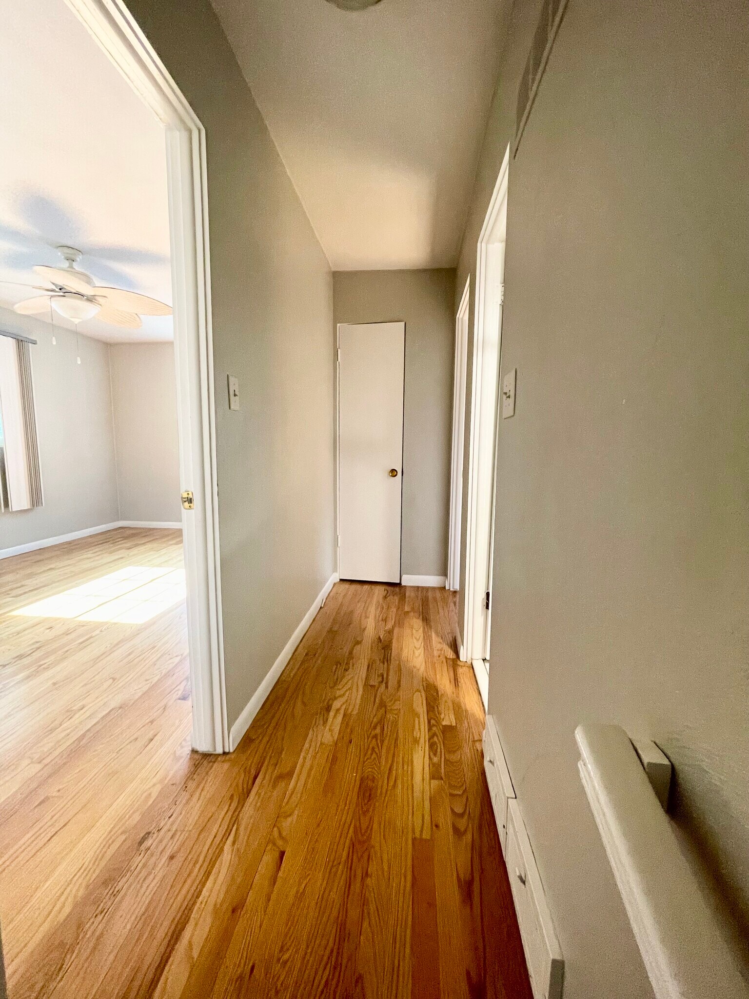 Building Photo - 1233 Park Ave