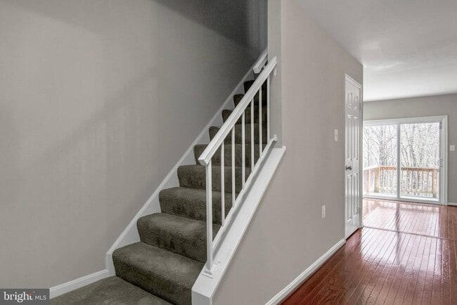 Building Photo - 12109 Stallion Ct