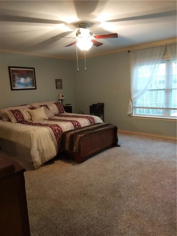 Building Photo - 3803 Williamsburg Cir