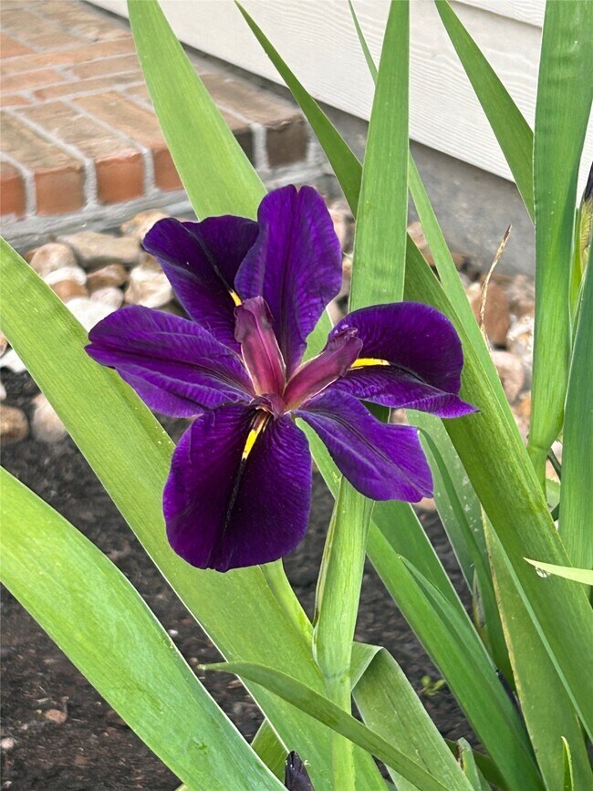 Building Photo - 2149 Rope Maker Rd