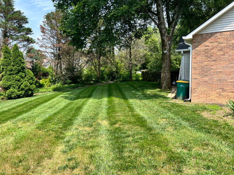 Building Photo - 2686 Douglas Ln