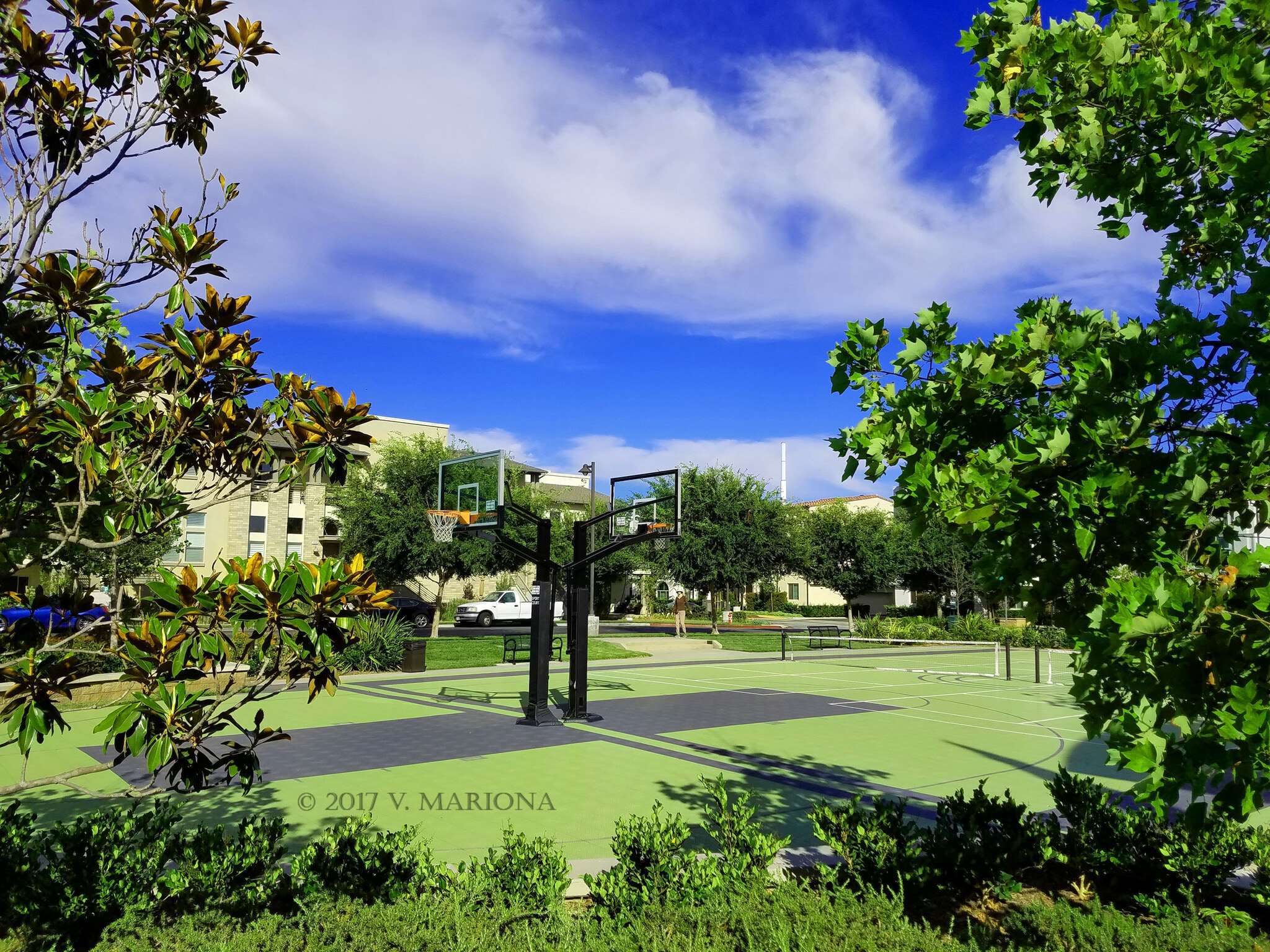 Our award-winning community features basketball & pickleball courts - 13019 Park Pl