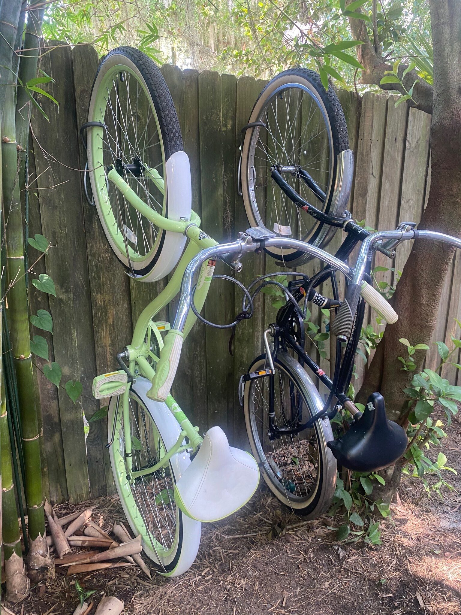 Two Bicycles Available - 233 Emory Pl
