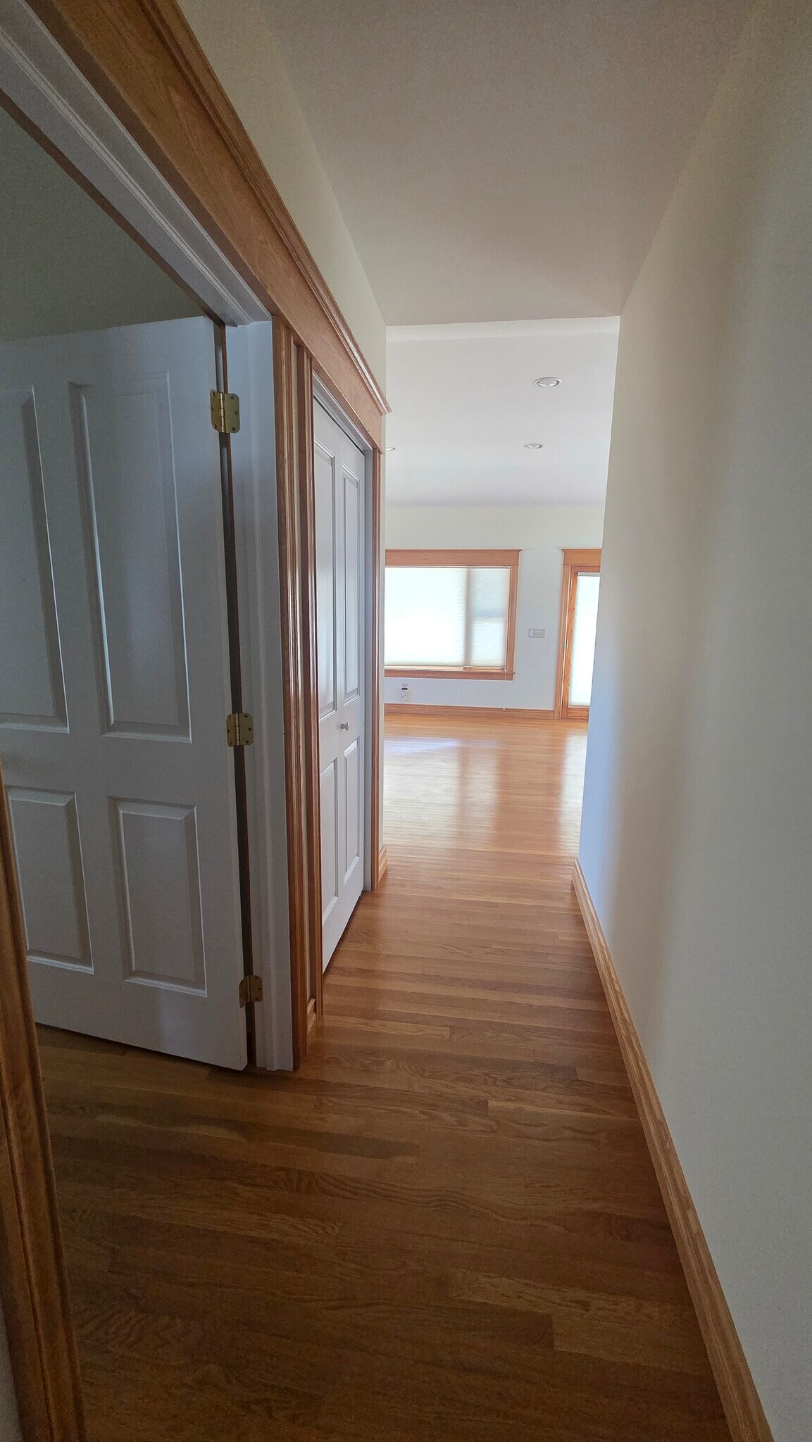 Building Photo - 559 Minor St