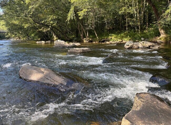 Building Photo - 3626 Pittman Center Rd