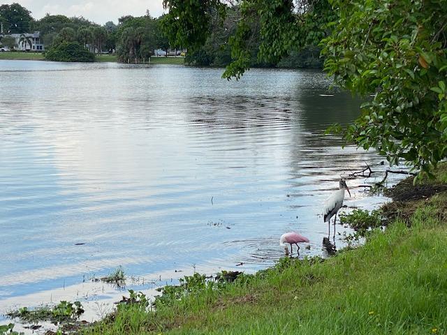 Building Photo - 3360 Lake Osborne Dr