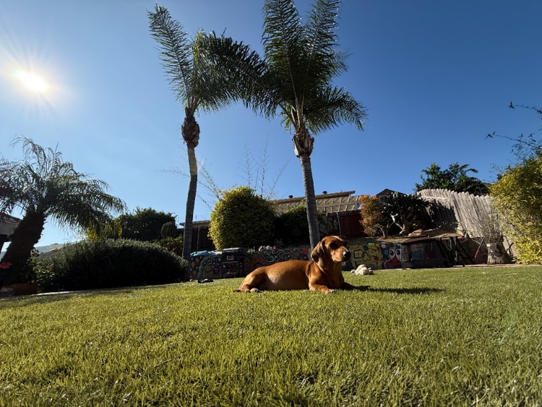 Building Photo - 3060 Marmil Ave