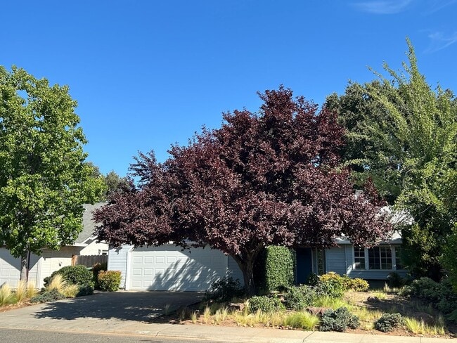 Building Photo - Culdesac Home Near Parks & Schools